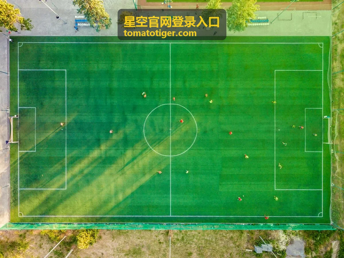 星空官网登录入口访问指引：浏览器缓存与扩展插件处理
