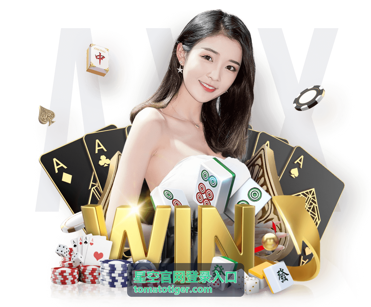 星空官网登录入口访问指引：验证环节超时与重试方法