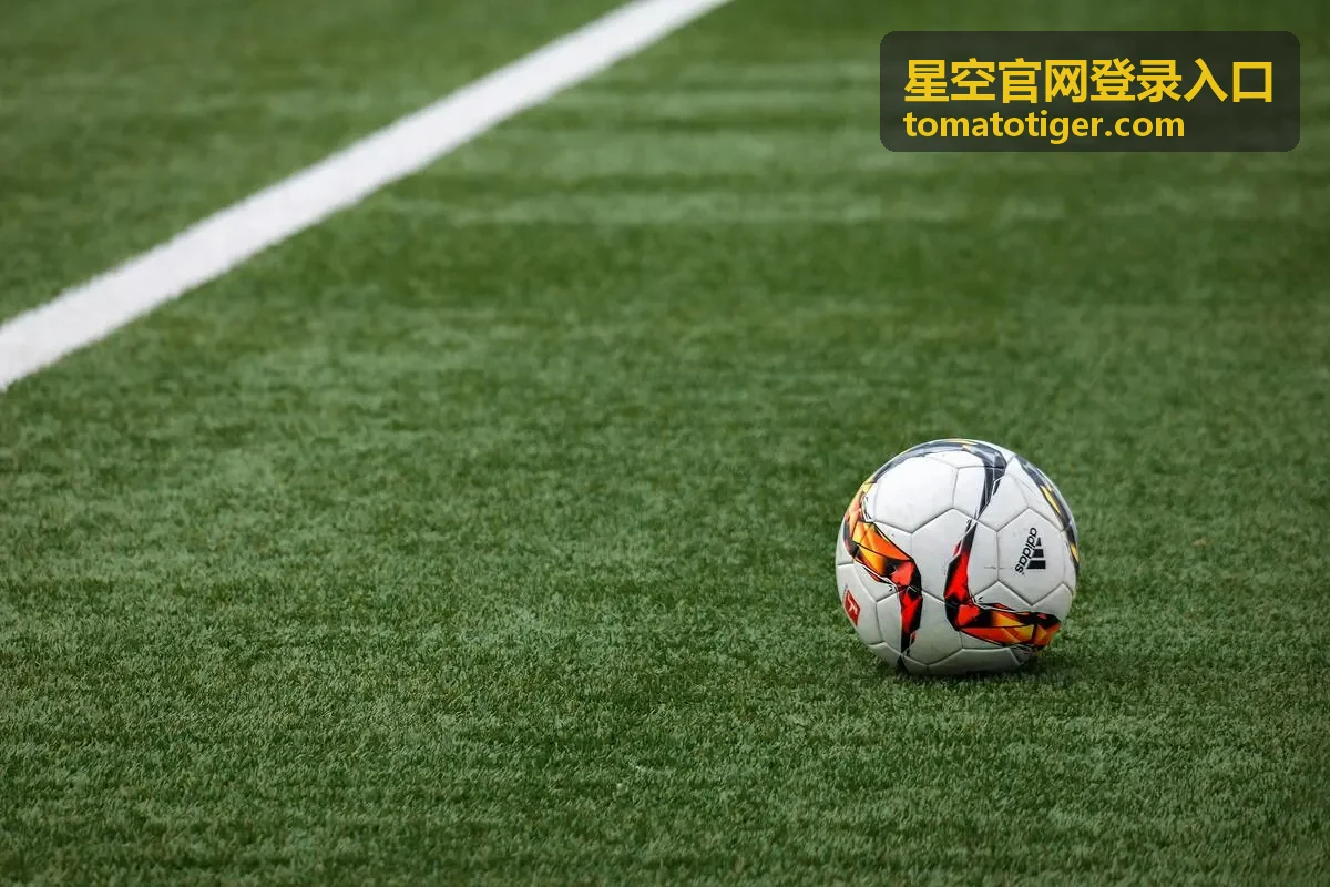 星空官网登录入口访问指引：移动端访问与显示适配