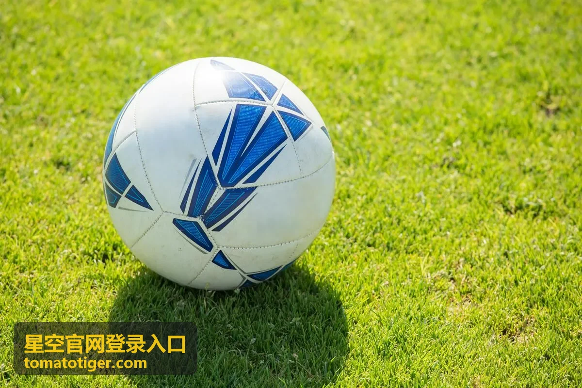 星空官网登录入口访问指引：重复登录提示的处理顺序