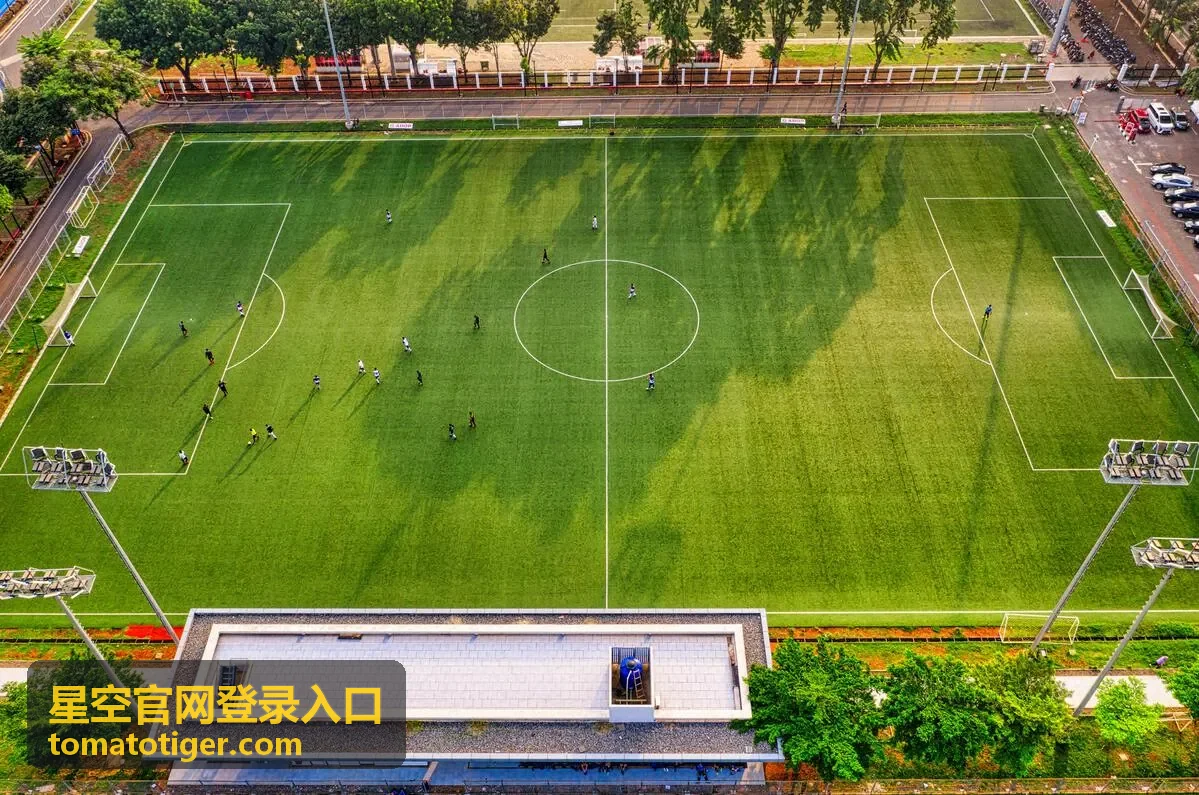 星空官网登录入口访问指引：长时间无法进入时的提交方式