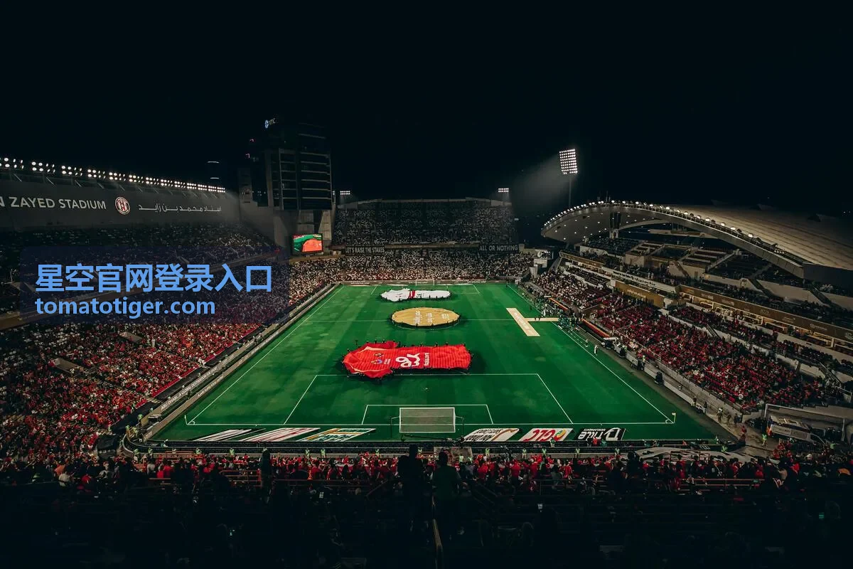 星空官网登录入口安全核验与异常处理封面